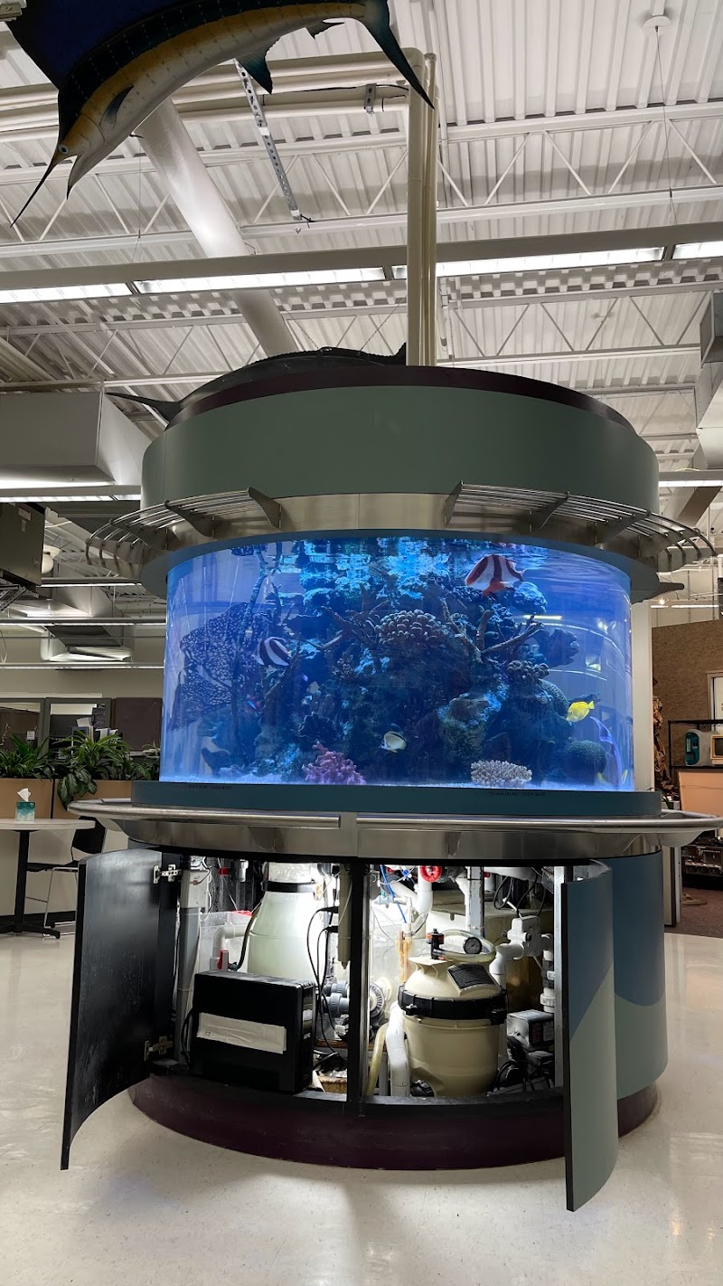 Island Fish & Reef - Photo 4