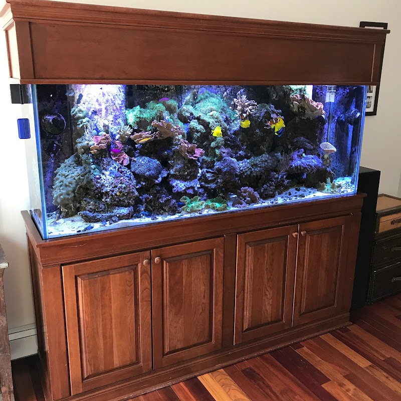 Island Fish & Reef - Photo 5