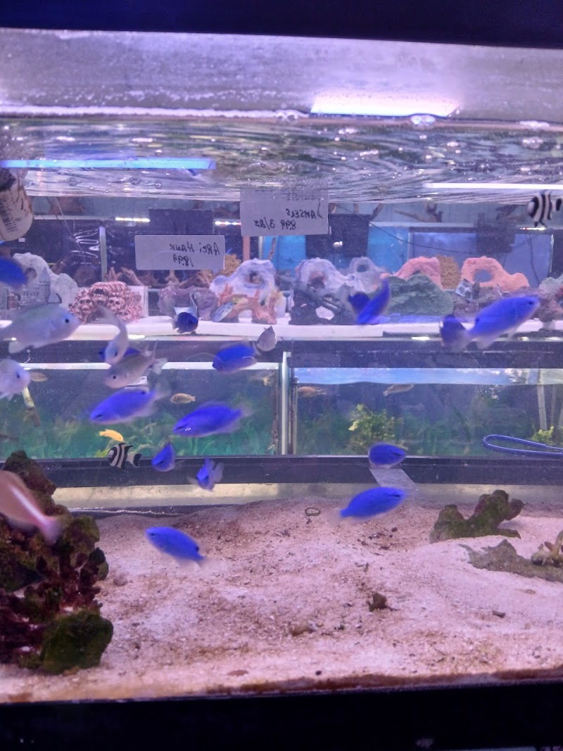 Aqua Hut Inc - Photo 2