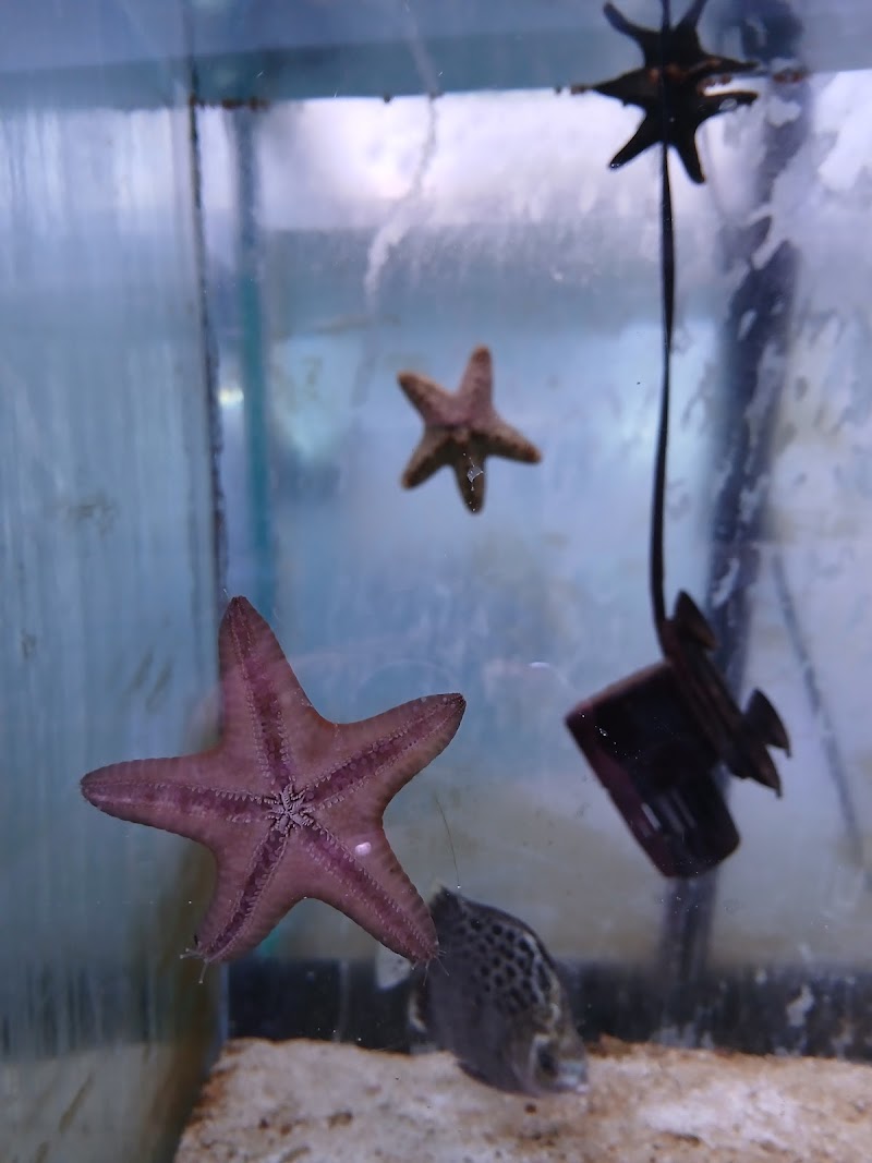 Aqua Hut Inc - Photo 3