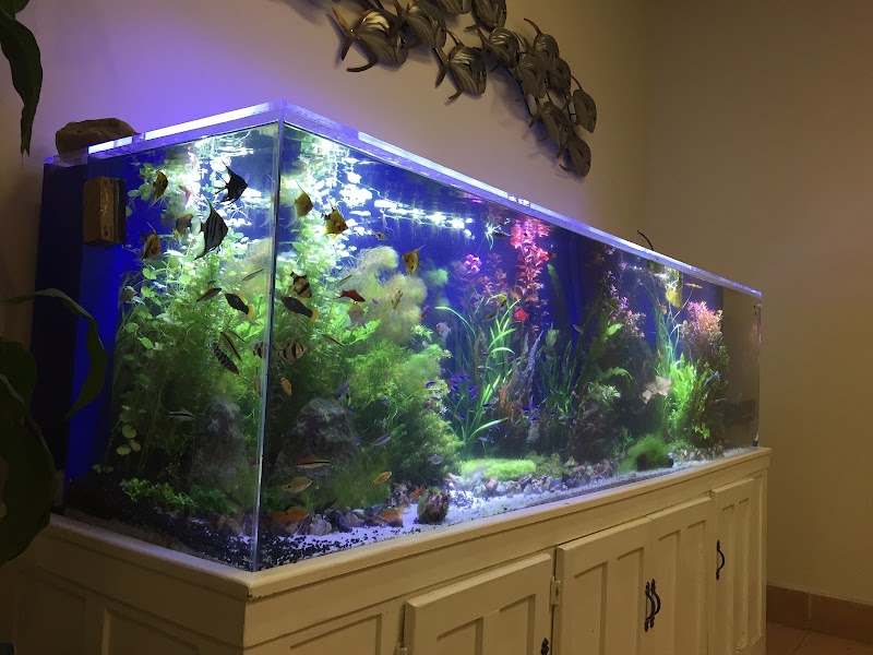 Aqua Hut Inc - Photo 4