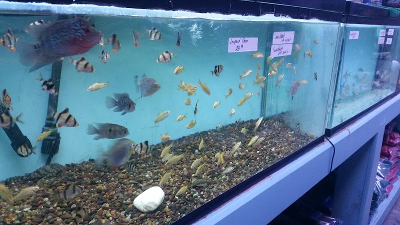 Aqua Hut Inc - Photo 5