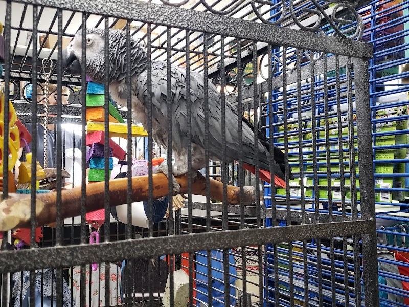 Country Critters Ltd - Photo 2