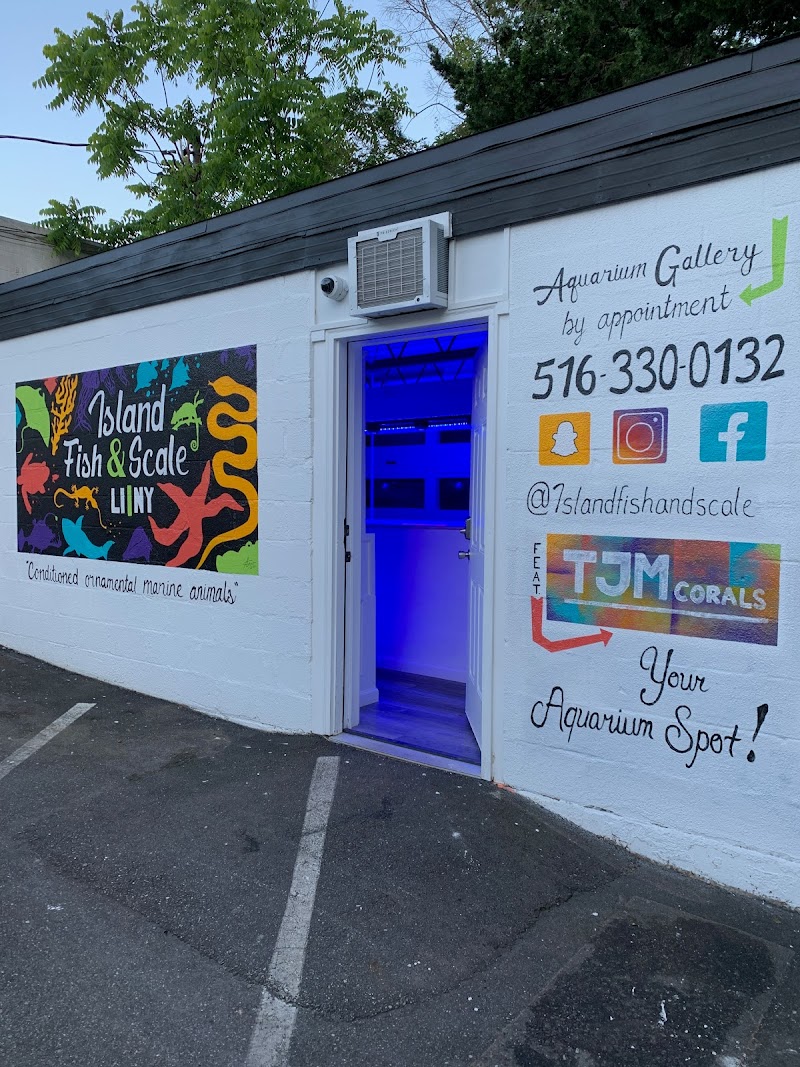 Island Fish and Scale - Photo 1