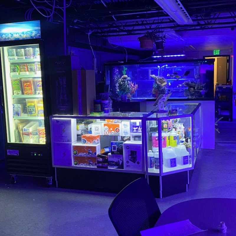 Island Fish and Scale - Photo 5