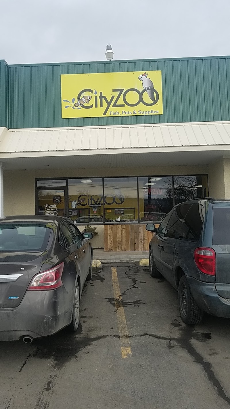 Sondra’s City Zoo - Photo 1