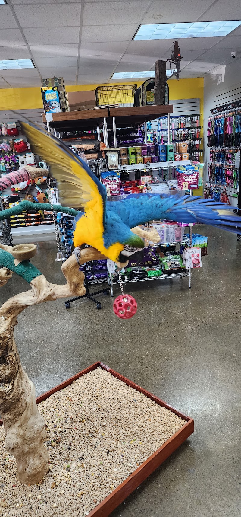 Sondra’s City Zoo - Photo 2