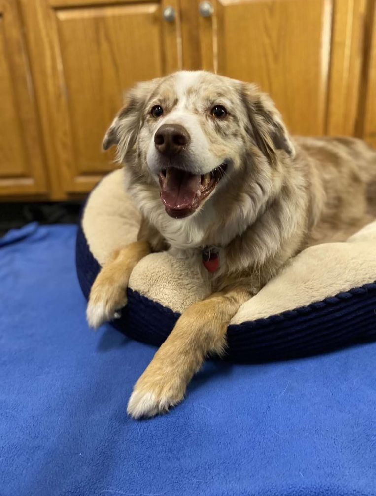 Sondra’s City Zoo - Photo 4