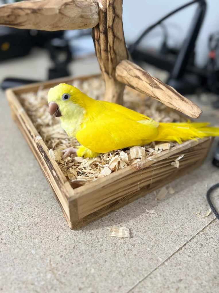 Sondra’s City Zoo - Photo 5