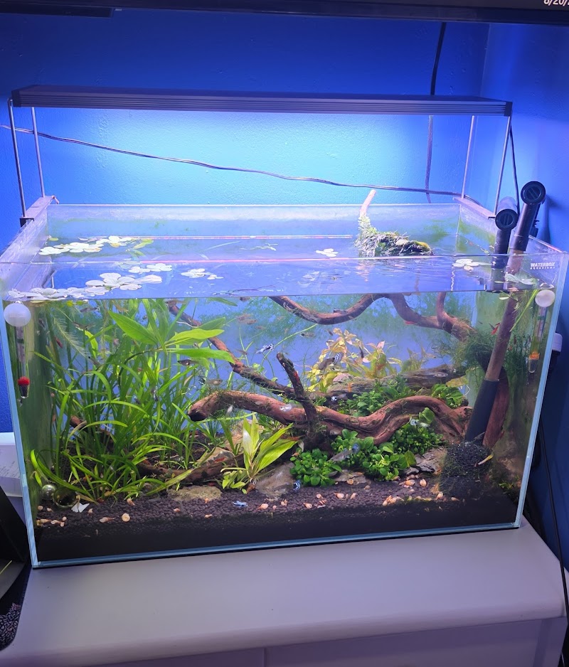 Rockland Aquarium - Photo 1