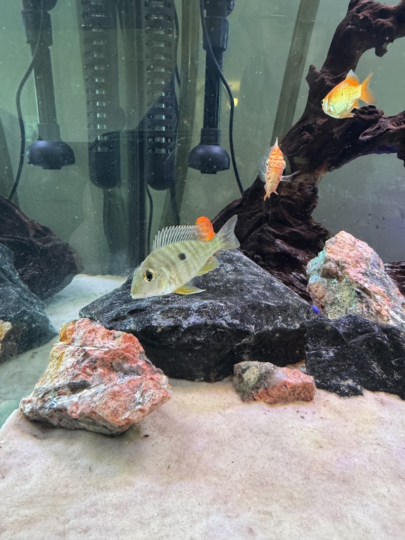 Rockland Aquarium - Photo 3