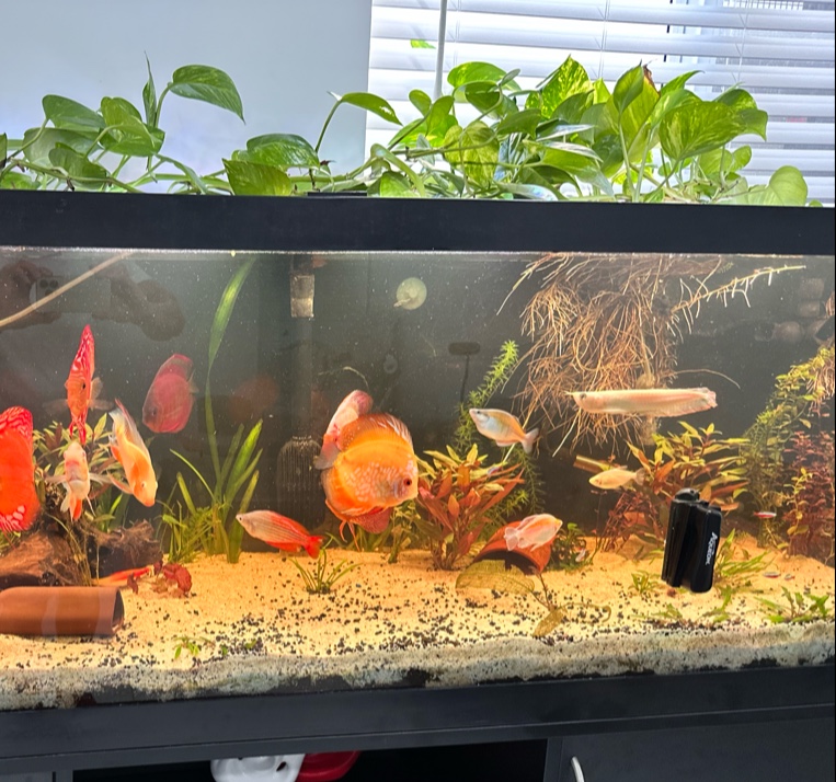 Rockland Aquarium - Photo 4