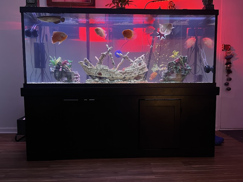 Rockland Aquarium - Photo 5