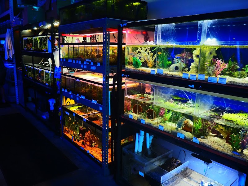 Shark Reef - Photo 2