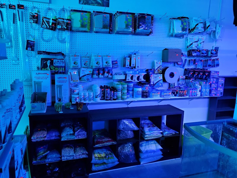 Shark Reef - Photo 3