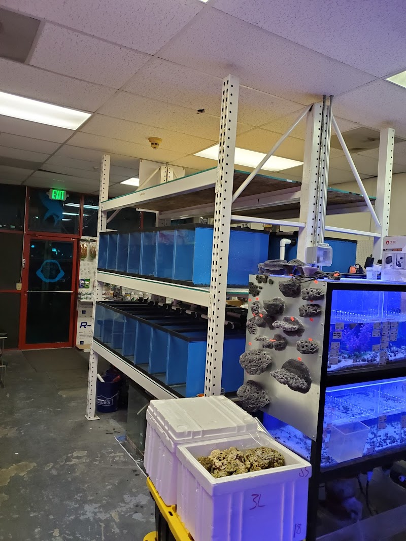 Shark Reef - Photo 4