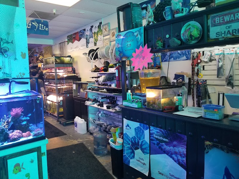 Shark Reef - Photo 5