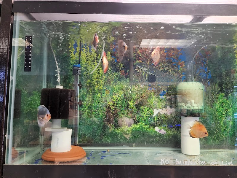 FISH ADDICTS NYC - Photo 1