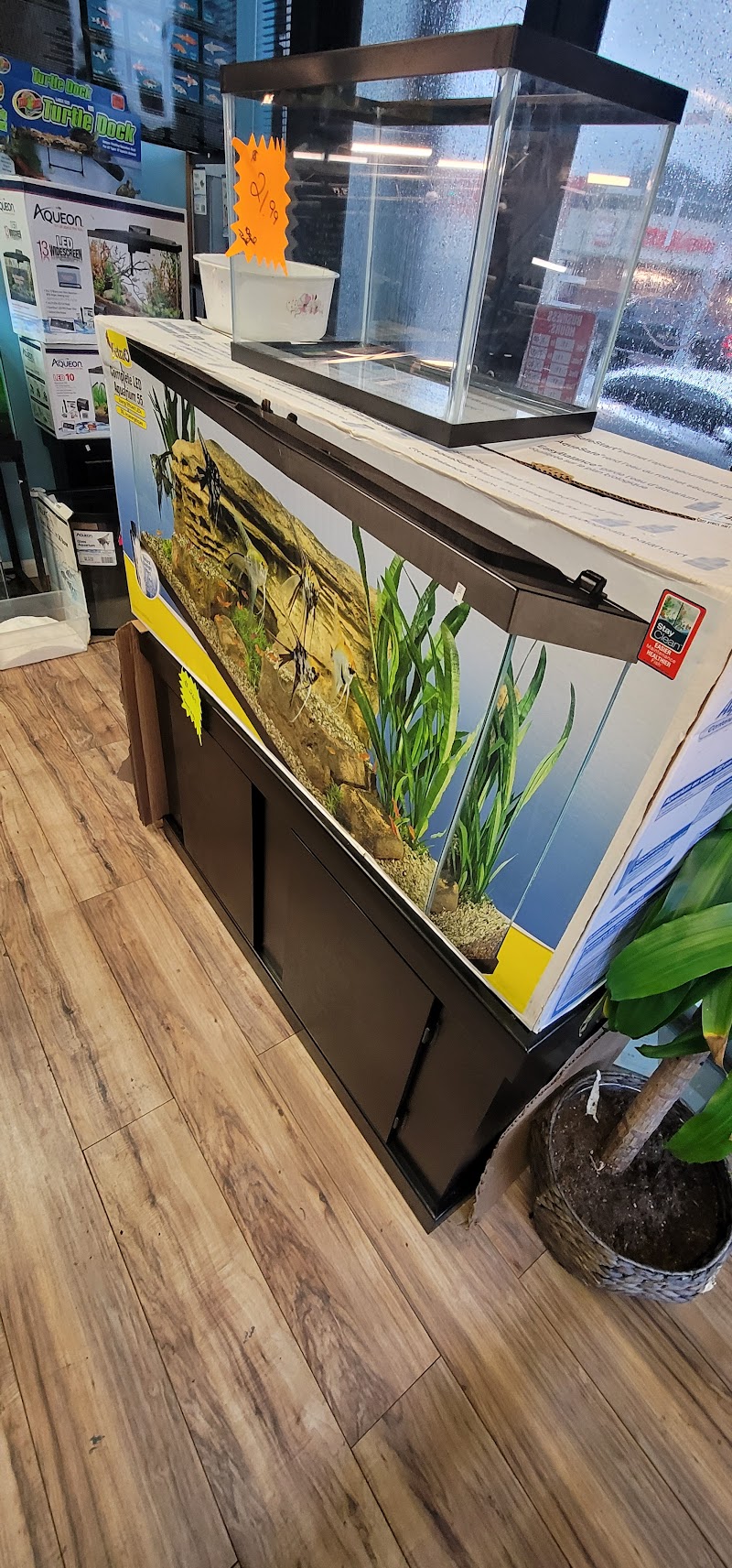 FISH ADDICTS NYC - Photo 3