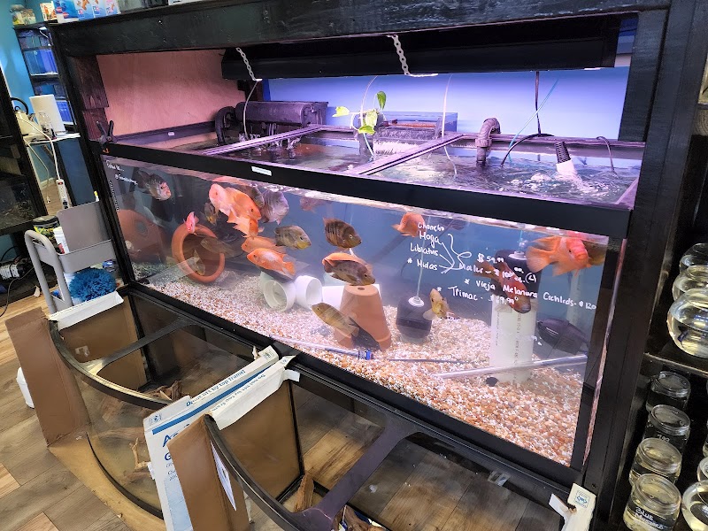 FISH ADDICTS NYC - Photo 4