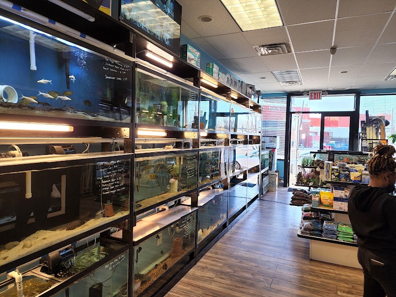 FISH ADDICTS NYC - Photo 5