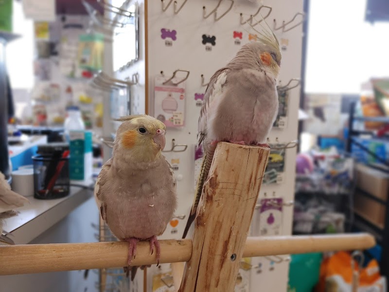 Blackwinds Pet Supplies - Photo 3