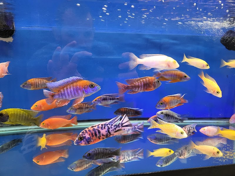 Aquarium Solutions 101 - Photo 5