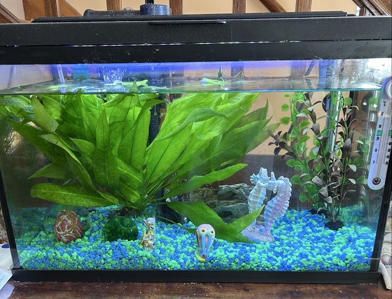 Empire Aquatics - Photo 2