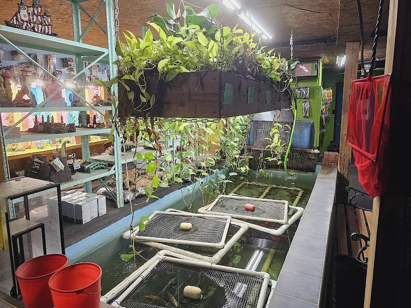 Empire Aquatics - Photo 3