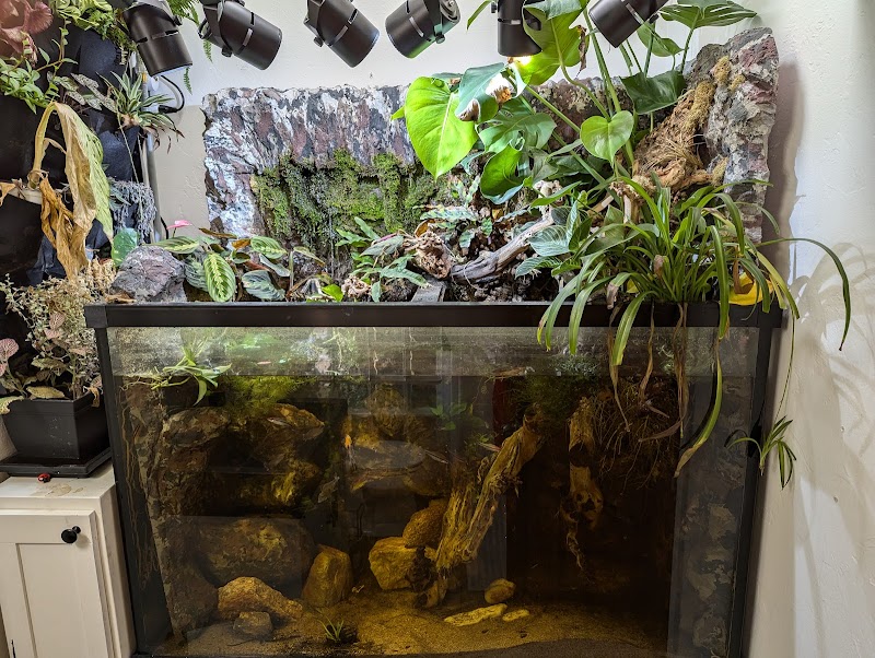 Tsunami Aquatics - Photo 3