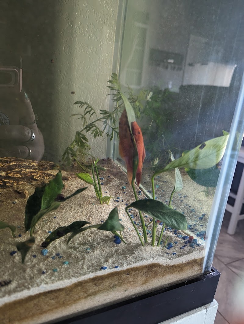 Tsunami Aquatics - Photo 4