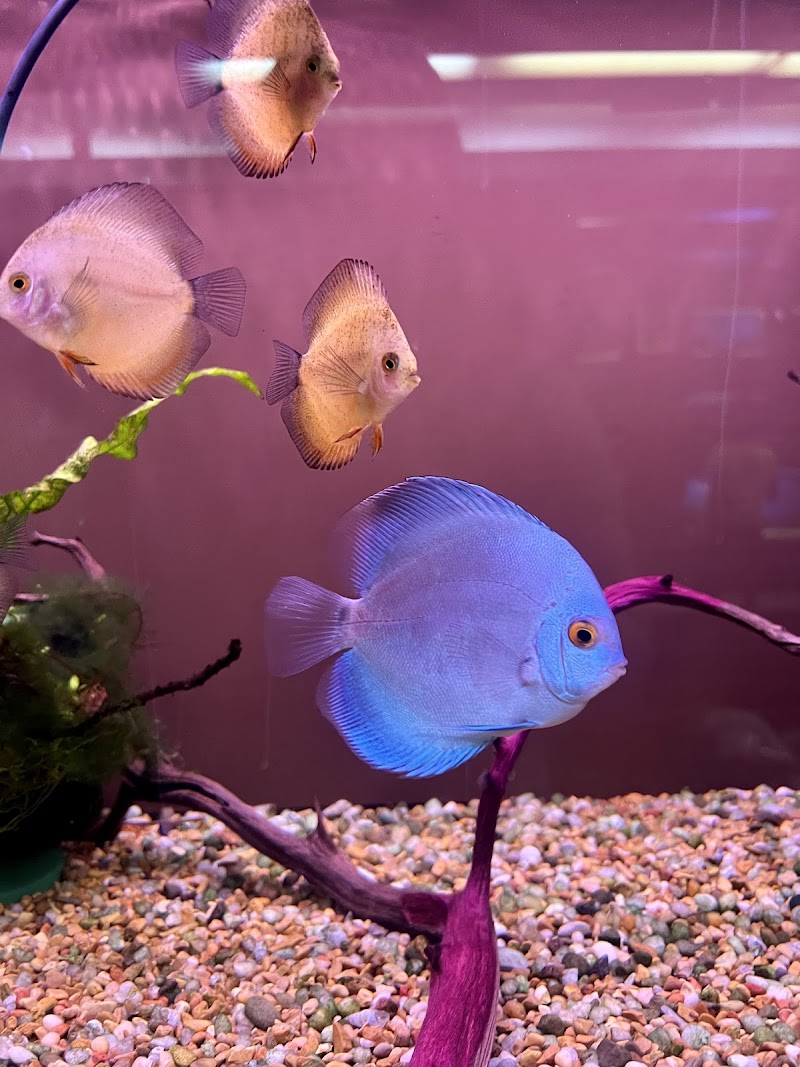 Tsunami Aquatics - Photo 5