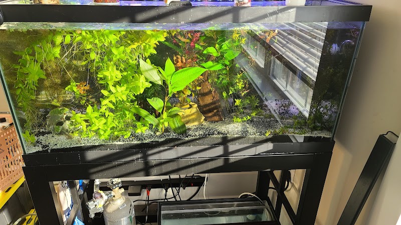 Overboard Aquatics - Photo 2