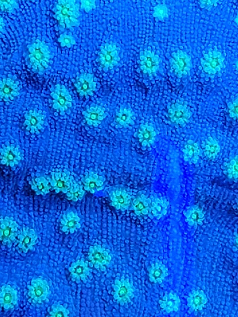 Overboard Aquatics - Photo 3