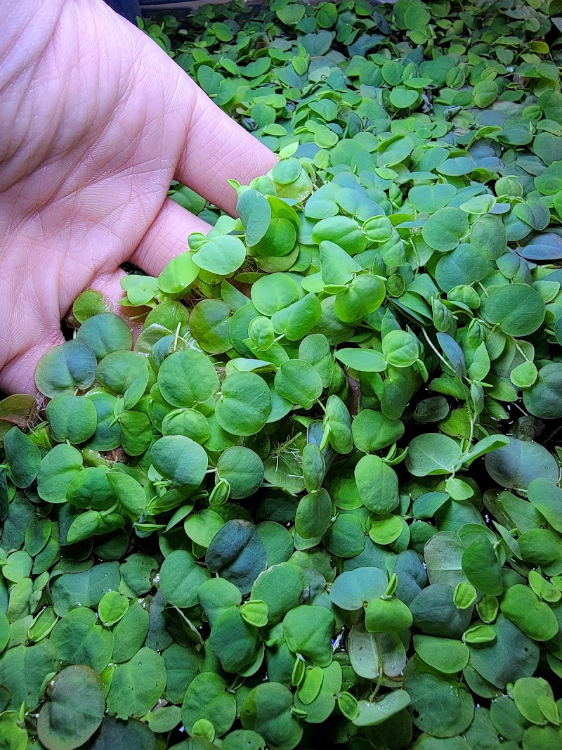 Overboard Aquatics - Photo 4