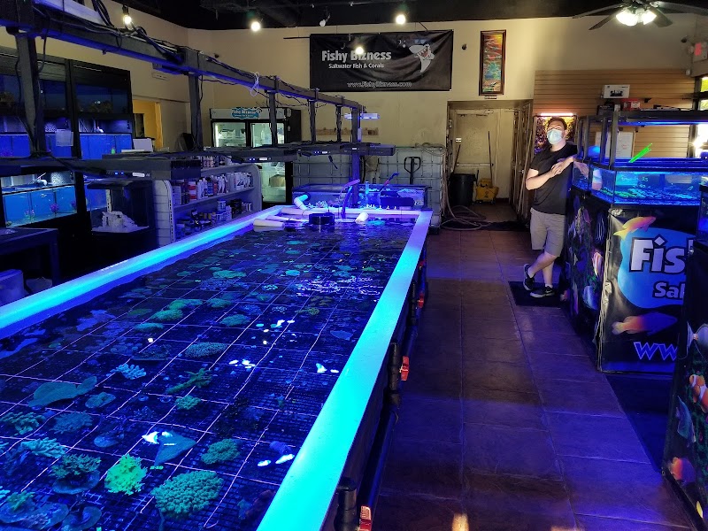 Fishy Bizness - Photo 2