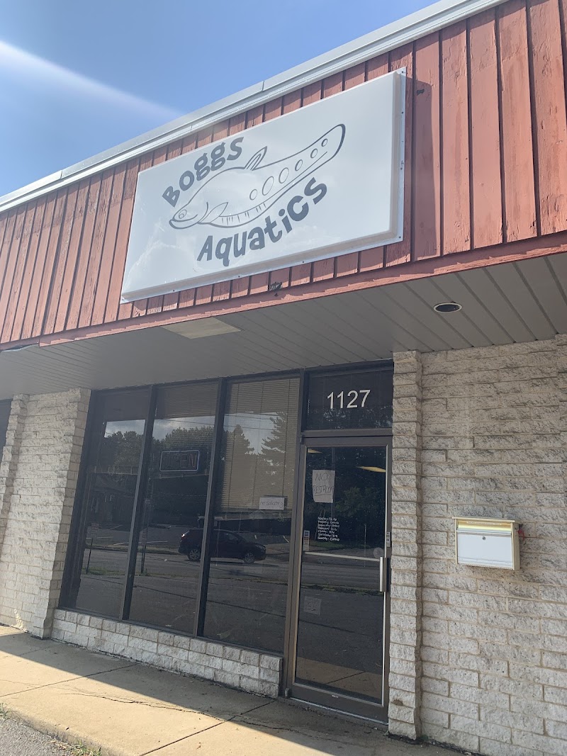 Boggs Aquatics - Photo 1