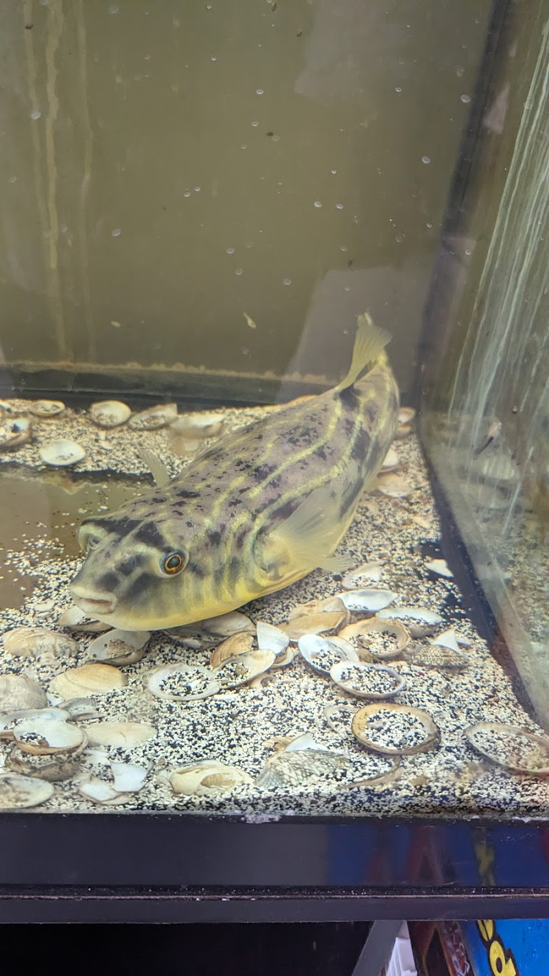 Boggs Aquatics - Photo 3