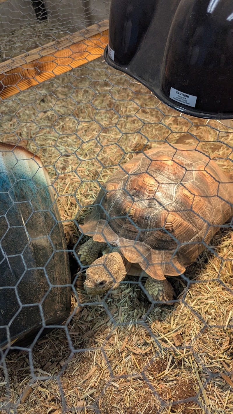 Boggs Aquatics - Photo 4