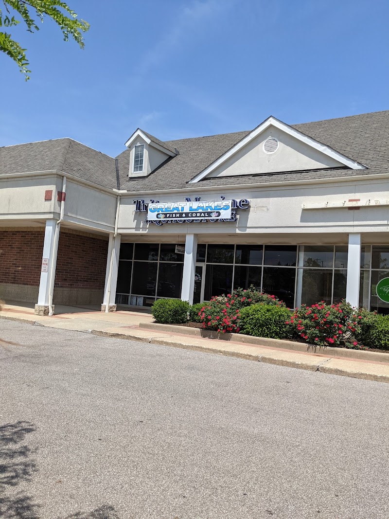 Great Lakes Fish and Coral - Photo 1