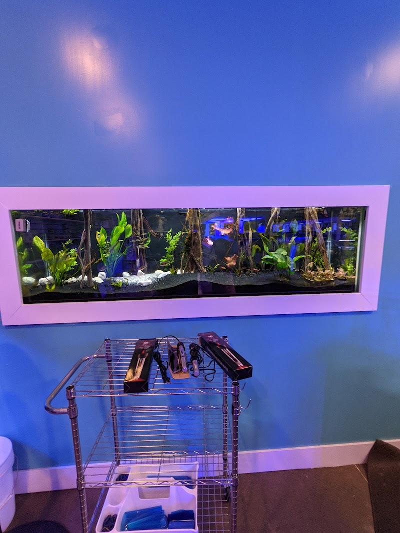 Great Lakes Fish and Coral - Photo 4