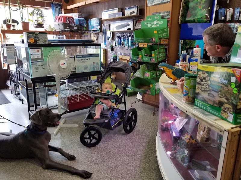 Fish City Pets - Photo 3