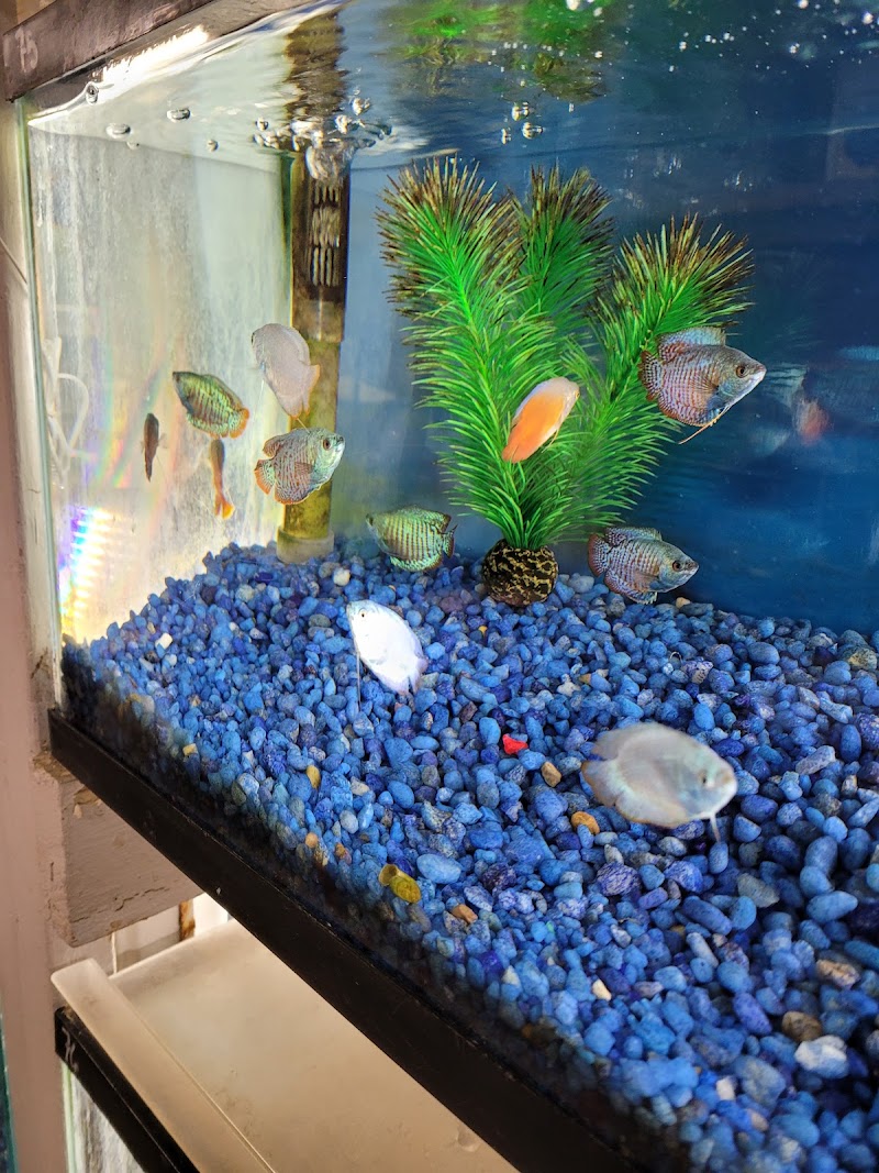 Fish City Pets - Photo 5