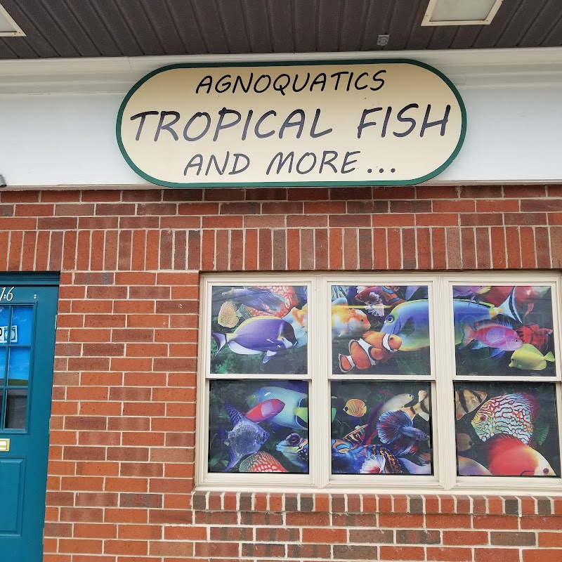 Agnoquatics - Photo 1