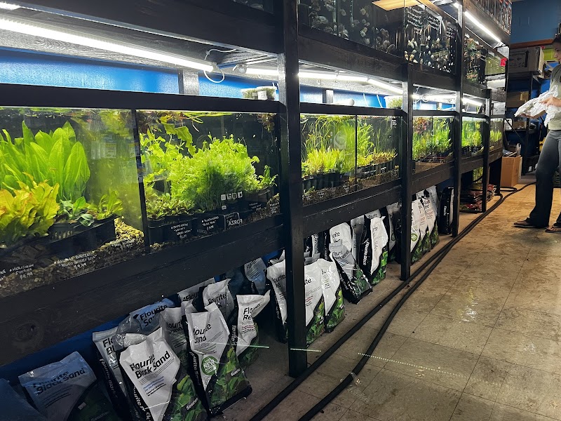 Agnoquatics - Photo 2