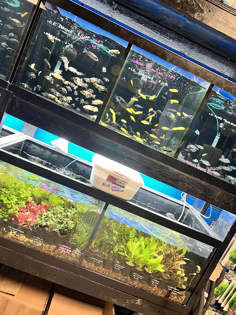 Agnoquatics - Photo 4