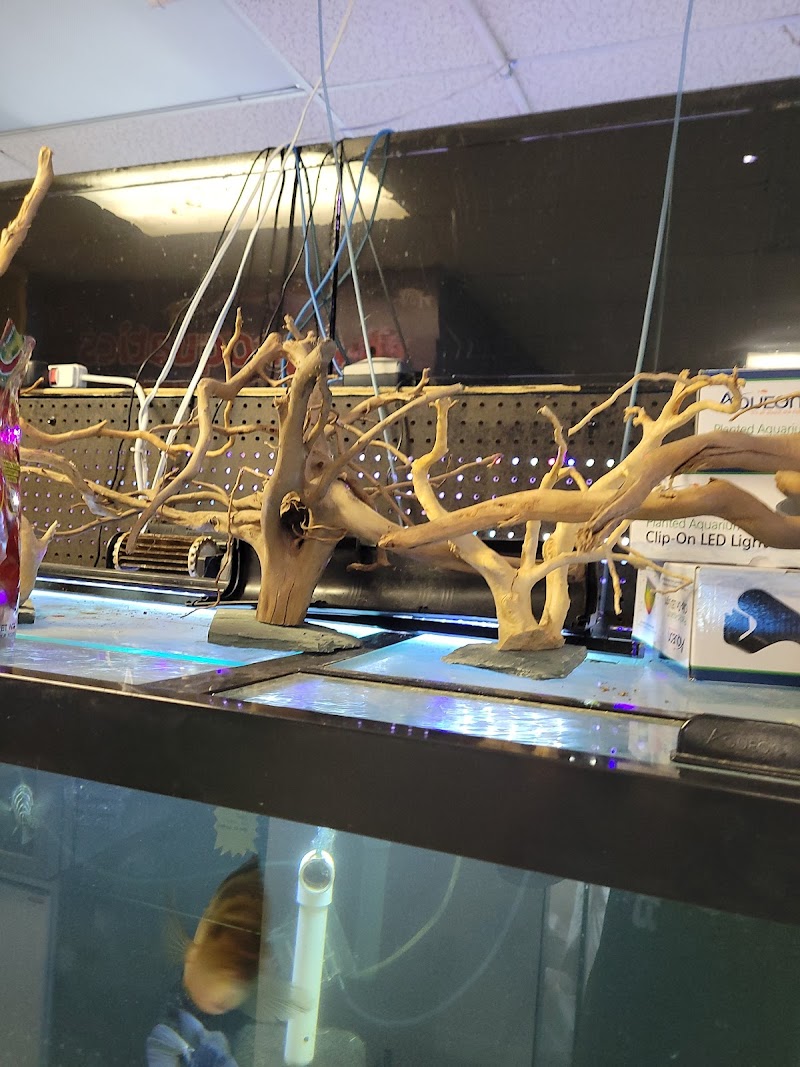 Agnoquatics - Photo 5