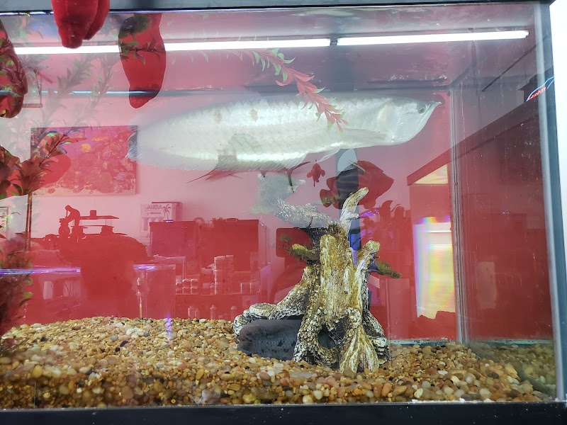 Aquatic Interiors Sea Cave - Photo 1