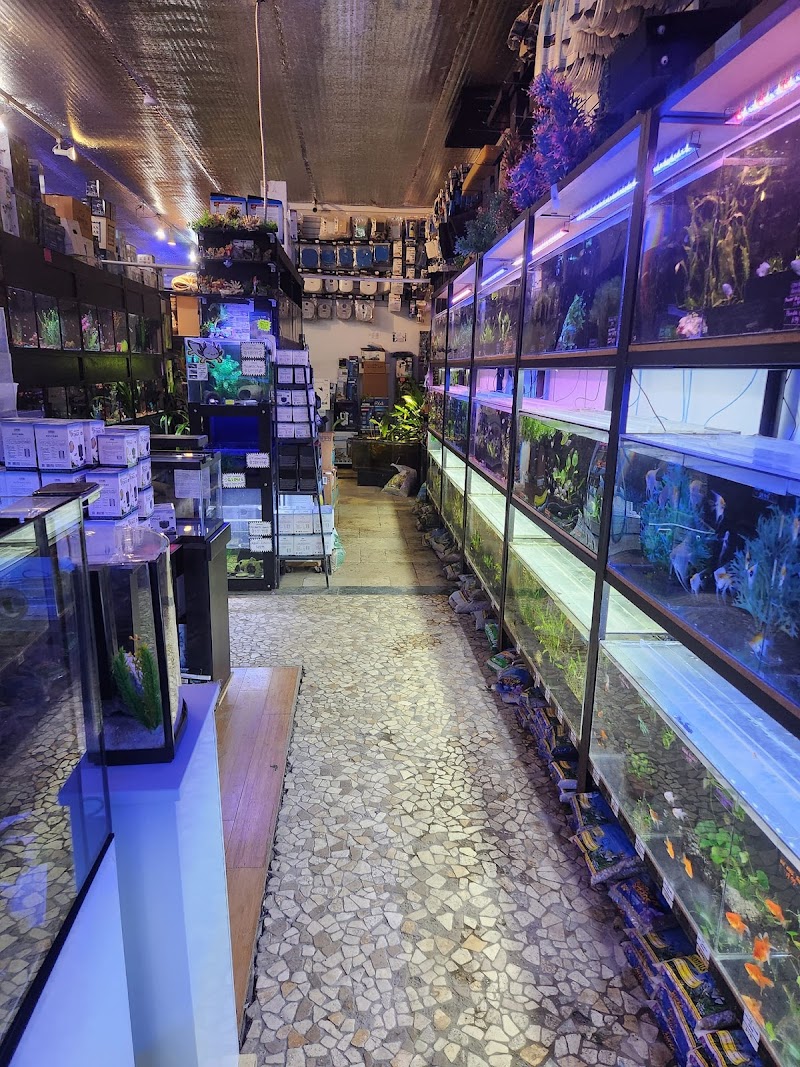 Aquatica Aquarium Gallery - Photo 3