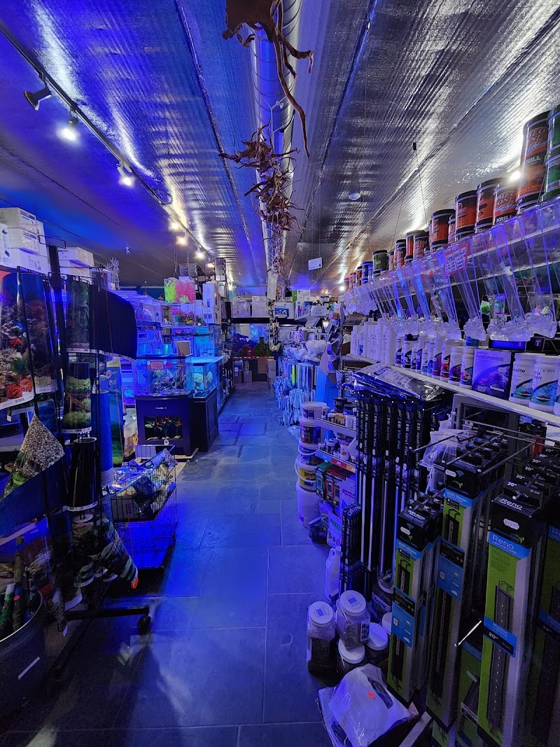 Aquatica Aquarium Gallery - Photo 4